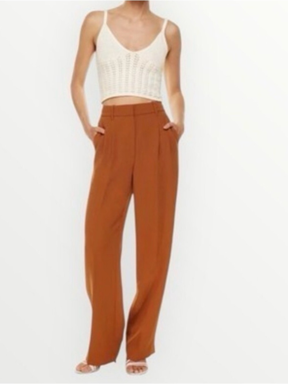 Aritzia Wide-Leg High-Rise Pants in Rust Brown
